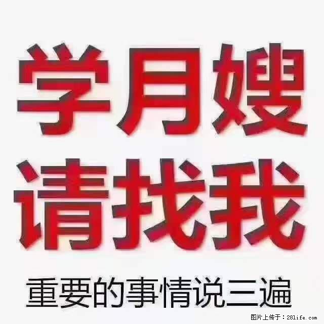 为什么要学习月嫂，育婴师？ - 其他广告 - 广告专区 - 渭南分类信息 - 渭南28生活网 wn.28life.net