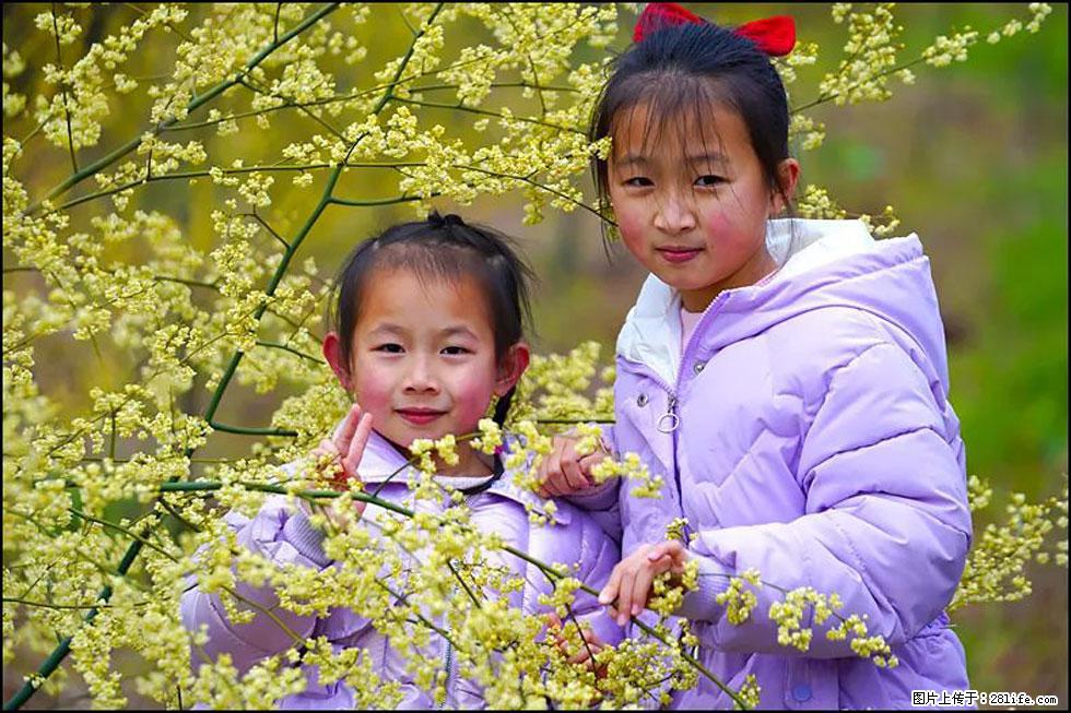 【春天，广西桂林灌阳县向您发出邀请！】米珠山前有片山苍子花在飘香 - 游山玩水 - 渭南生活社区 - 渭南28生活网 wn.28life.net