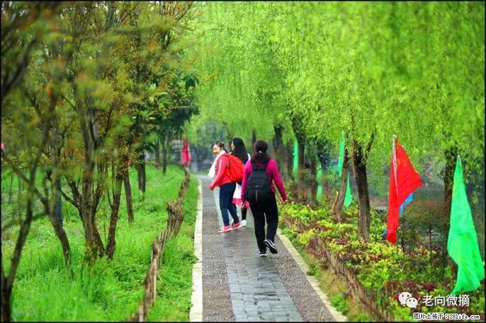 【春天，广西桂林灌阳县向您发出邀请！】江口老街又逢春 - 游山玩水 - 渭南生活社区 - 渭南28生活网 wn.28life.net