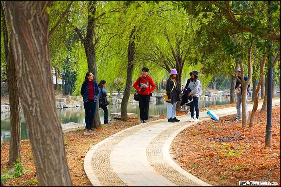 【春天，广西桂林灌阳县向您发出邀请！】江口老街又逢春 - 游山玩水 - 渭南生活社区 - 渭南28生活网 wn.28life.net