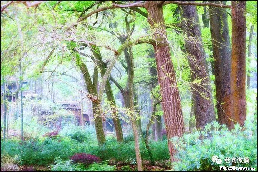 【春天，广西桂林灌阳县向您发出邀请！】在小龙村与春天约会 - 游山玩水 - 渭南生活社区 - 渭南28生活网 wn.28life.net