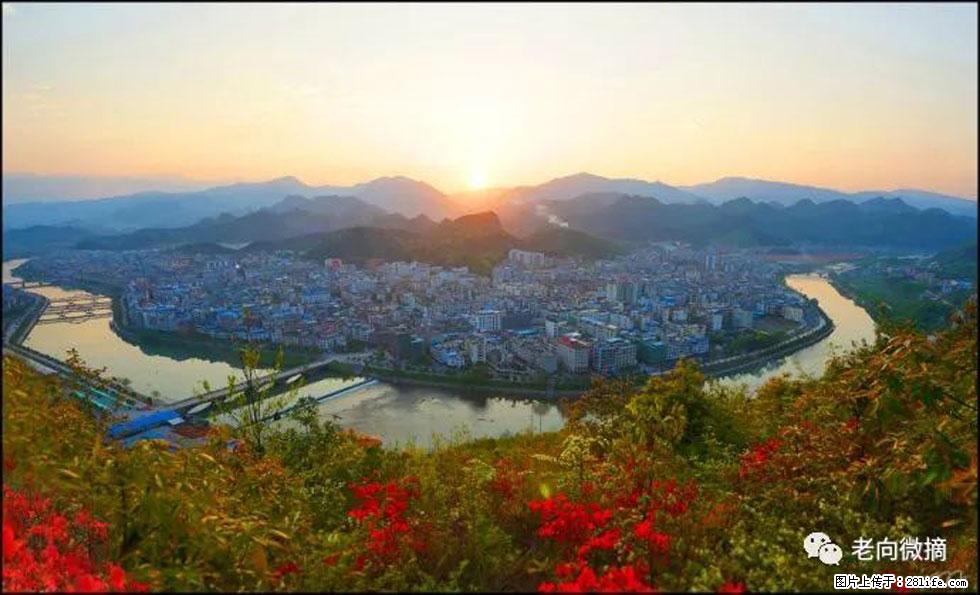 【春天，广西桂林灌阳县向您发出邀请！】登麒麟山，相约映山红 - 游山玩水 - 渭南生活社区 - 渭南28生活网 wn.28life.net