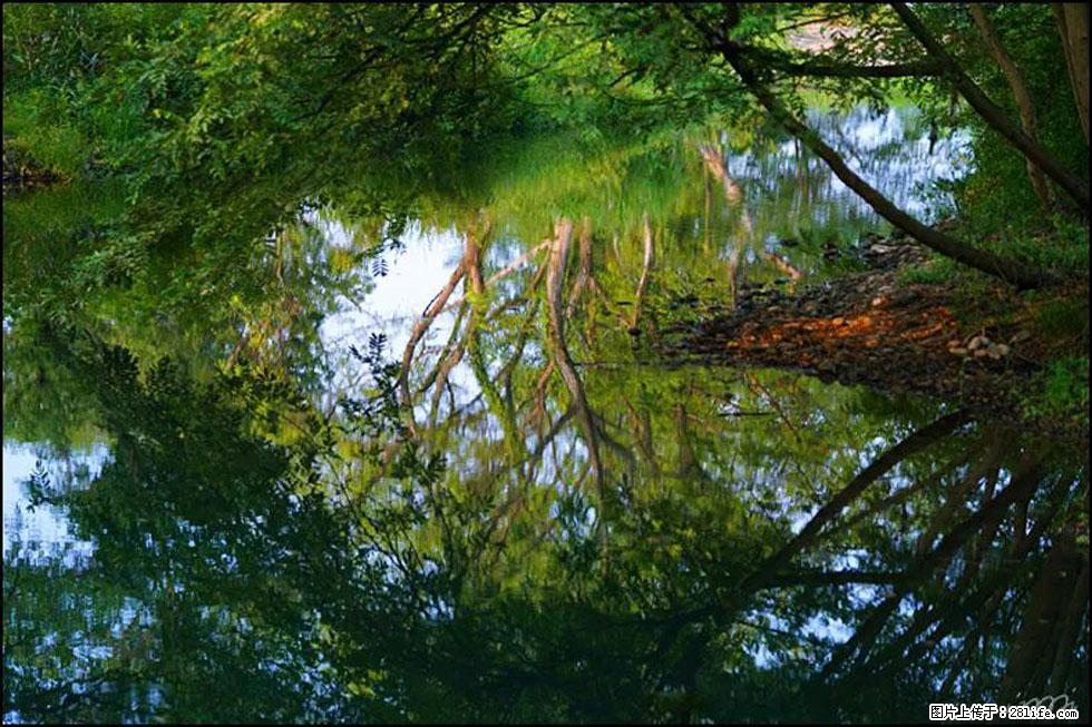 【春天，广西桂林灌阳县向您发出邀请！】熊家寨湿地公园 - 游山玩水 - 渭南生活社区 - 渭南28生活网 wn.28life.net
