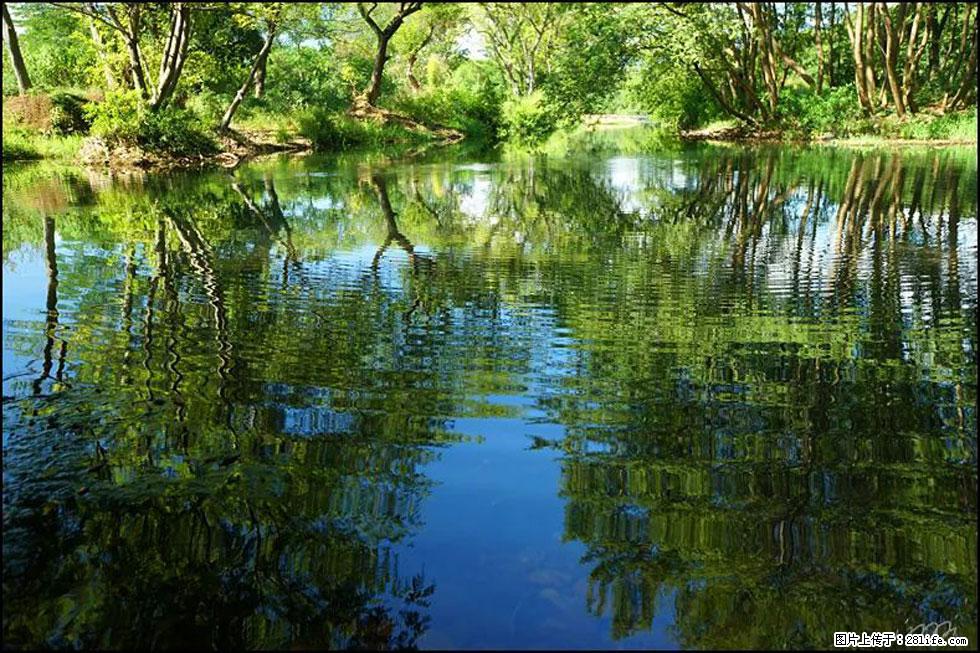 【春天，广西桂林灌阳县向您发出邀请！】熊家寨湿地公园 - 游山玩水 - 渭南生活社区 - 渭南28生活网 wn.28life.net