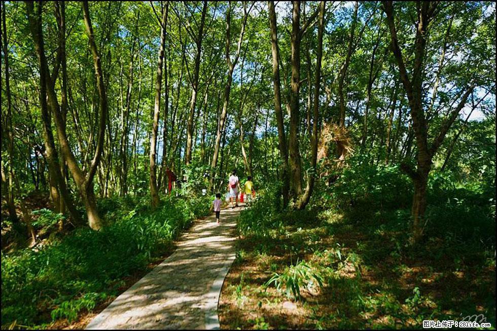 【春天，广西桂林灌阳县向您发出邀请！】熊家寨湿地公园 - 游山玩水 - 渭南生活社区 - 渭南28生活网 wn.28life.net