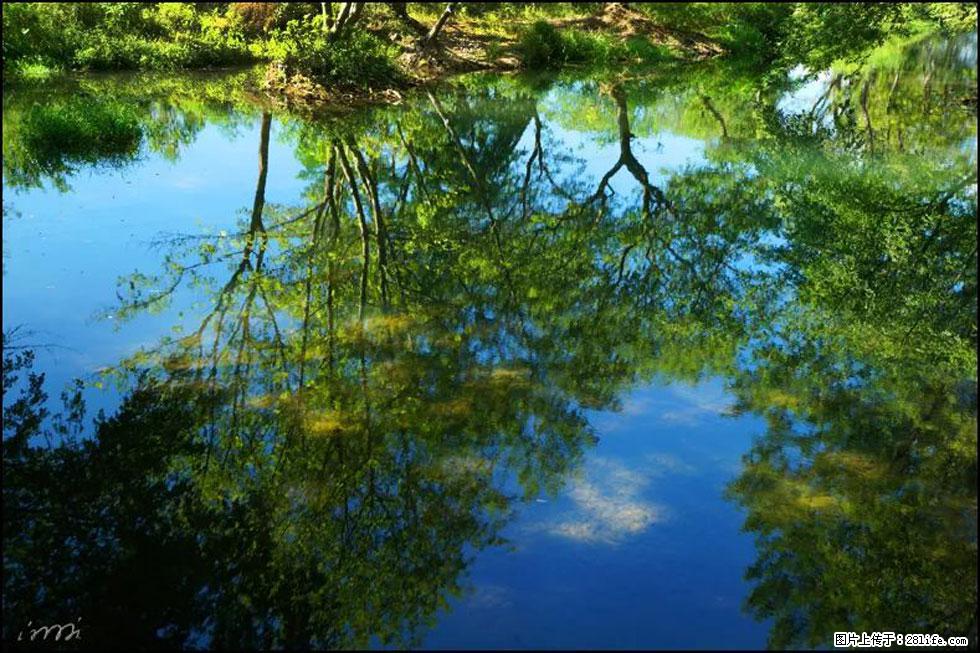 【春天，广西桂林灌阳县向您发出邀请！】熊家寨湿地公园 - 游山玩水 - 渭南生活社区 - 渭南28生活网 wn.28life.net