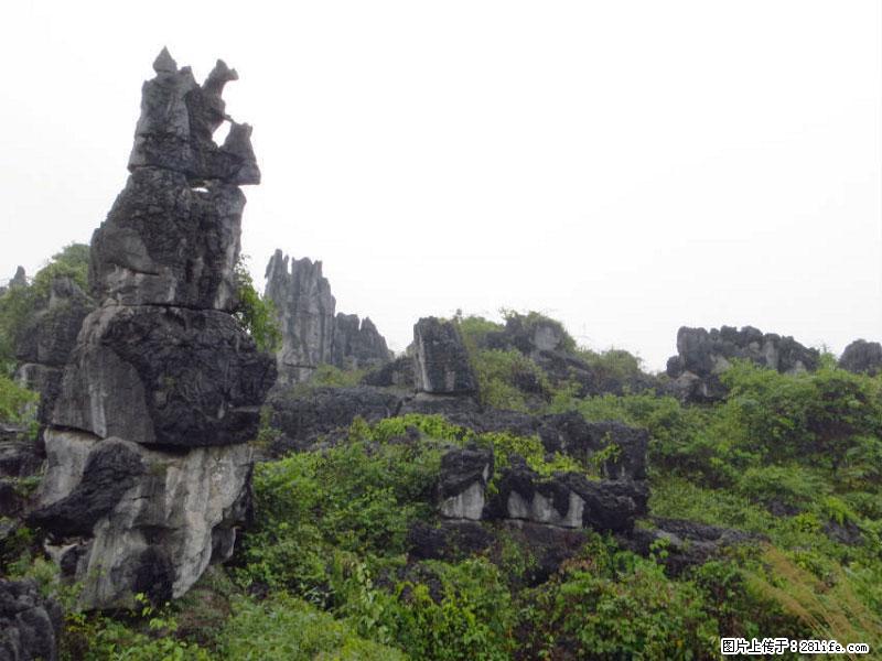 桂林旅游名城景点：灌阳文市石林 - 游山玩水 - 渭南生活社区 - 渭南28生活网 wn.28life.net