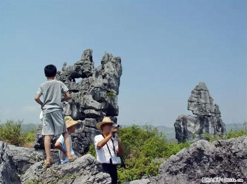 桂林旅游名城景点：灌阳文市石林 - 游山玩水 - 渭南生活社区 - 渭南28生活网 wn.28life.net
