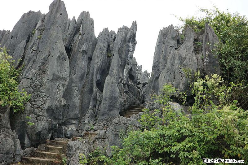 桂林旅游名城景点：灌阳文市石林 - 游山玩水 - 渭南生活社区 - 渭南28生活网 wn.28life.net
