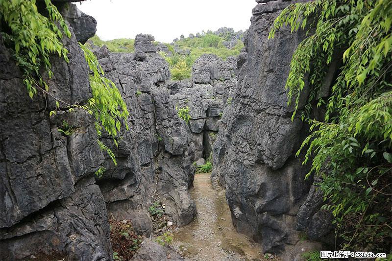 桂林旅游名城景点：灌阳文市石林 - 游山玩水 - 渭南生活社区 - 渭南28生活网 wn.28life.net