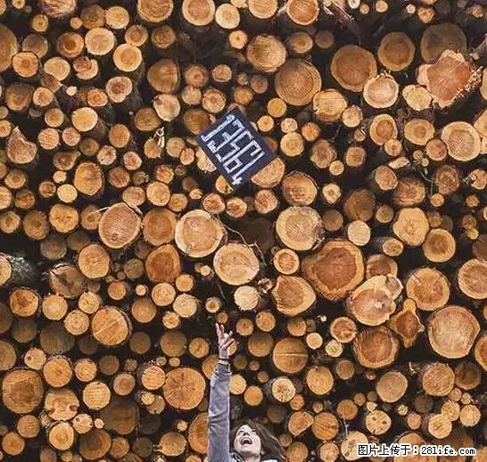 辞掉工作周游世界？现在他们在洗厕所…… - 游山玩水 - 渭南生活社区 - 渭南28生活网 wn.28life.net