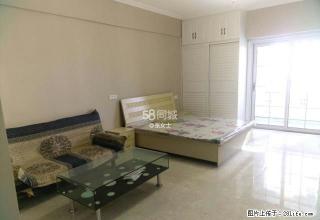 西四路紫兰新都荟 精装一室 家具家电全带 集中供暖 - 渭南28生活网 wn.28life.net