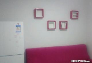 抢租晶众对面爱情公寓新家具家电西三路东风大街十字精装修 - 渭南28生活网 wn.28life.net