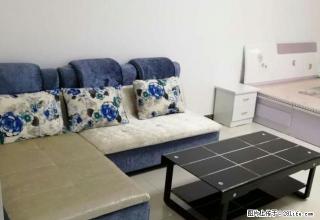 新洲商圈精装公寓 家电齐全 可办公可住 诚心急租 - 渭南28生活网 wn.28life.net