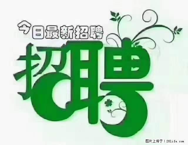 【招聘摄像师】待遇：试用期6000元/月，转正7000元/月+五险一金+餐补+节日福利+奖金 - 其他招聘信息 - 招聘求职 - 渭南分类信息 - 渭南28生活网 wn.28life.net