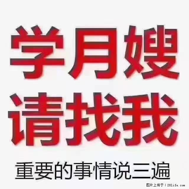【招聘】月嫂，上海徐汇区 - 职场交流 - 渭南生活社区 - 渭南28生活网 wn.28life.net