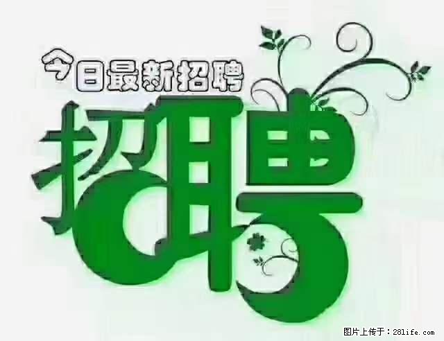 上海隔离酒店招人：55岁以下 男女不限 - 职场交流 - 渭南生活社区 - 渭南28生活网 wn.28life.net