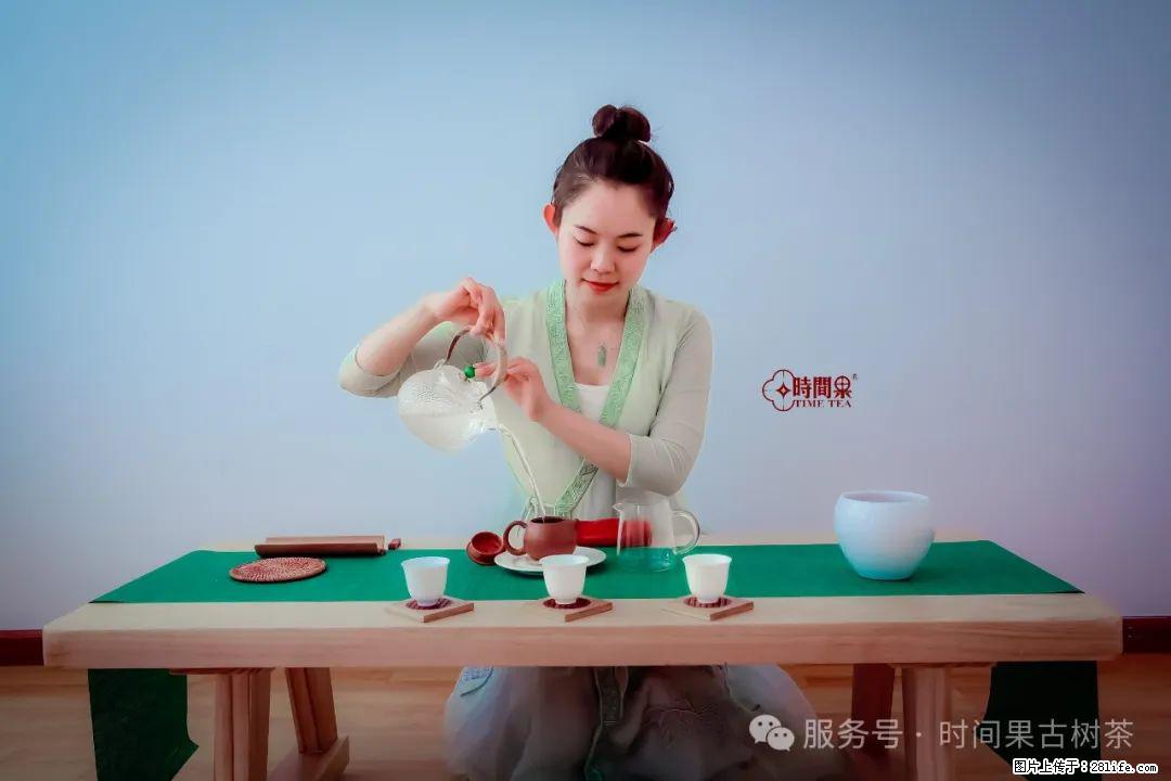 时间果百年古树龙珠普洱生茶 - 购物交流 - 渭南生活社区 - 渭南28生活网 wn.28life.net