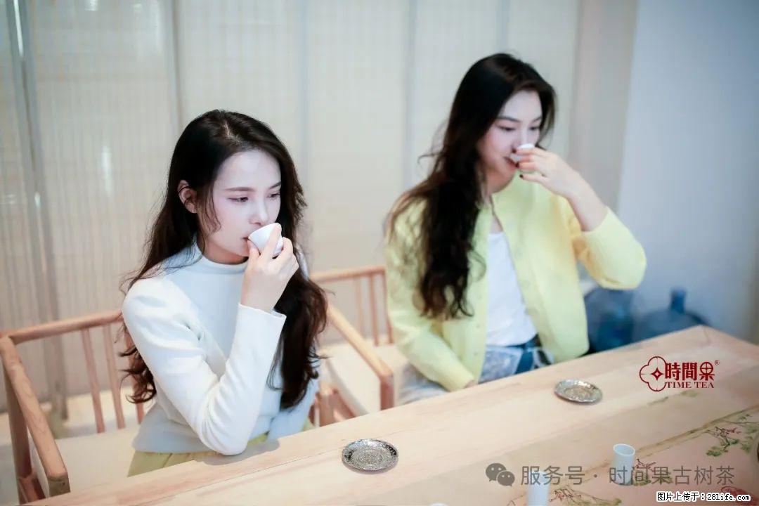 时间果百年古树龙珠普洱生茶 - 购物交流 - 渭南生活社区 - 渭南28生活网 wn.28life.net