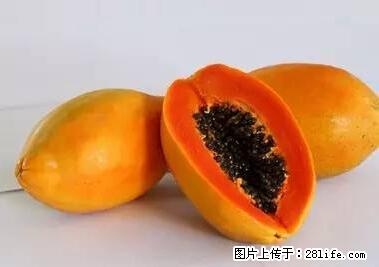 晕车、脚气、牙齿变黄、皮肤粗糙?学会这些三分钟搞定! - 渭南生活资讯 - 渭南28生活网 wn.28life.net