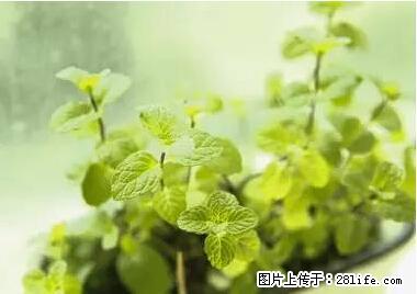 晕车、脚气、牙齿变黄、皮肤粗糙?学会这些三分钟搞定! - 渭南生活资讯 - 渭南28生活网 wn.28life.net