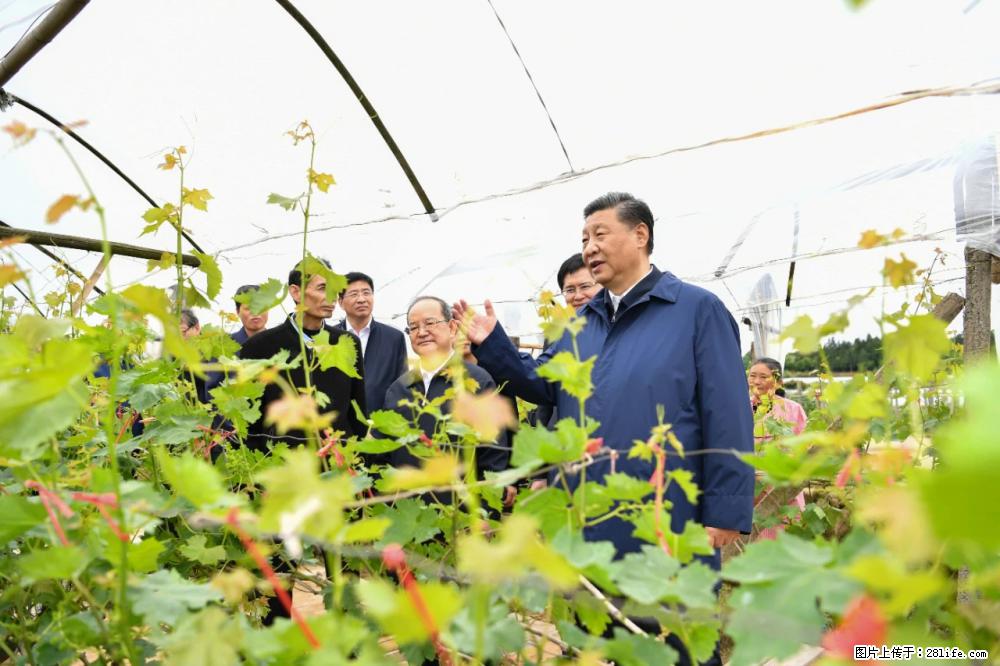 习近平赴广西考察调研 - 渭南生活资讯 - 渭南28生活网 wn.28life.net