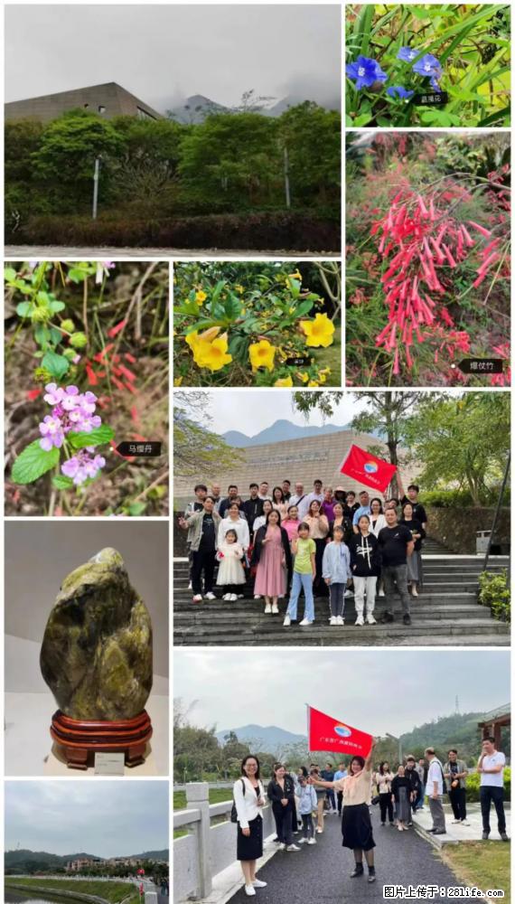 “粤灌文化 美好生活”油茶文化主题活动在广东深圳成功举办 - 渭南生活资讯 - 渭南28生活网 wn.28life.net
