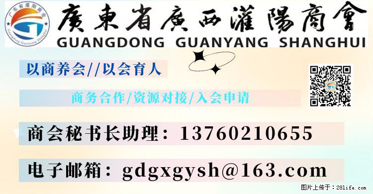“粤灌文化 美好生活”油茶文化主题活动在广东深圳成功举办 - 渭南生活资讯 - 渭南28生活网 wn.28life.net