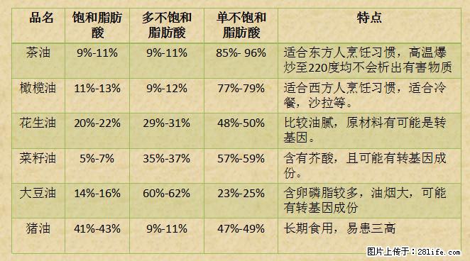 揭秘茶油的5大核心营养成分！被称为人体健康的“守护盾”！ - 渭南生活资讯 - 渭南28生活网 wn.28life.net