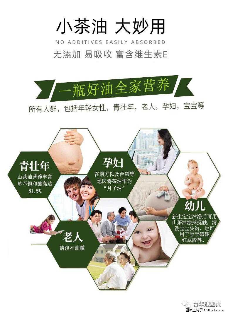 世界没有真相，只有认知，最好的食用油是中国的山茶油！ - 渭南生活资讯 - 渭南28生活网 wn.28life.net