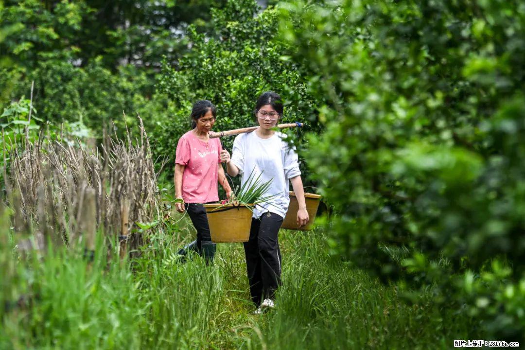 全网追的“扁担女孩”，找了一份暑假工，时薪12元 - 渭南生活资讯 - 渭南28生活网 wn.28life.net