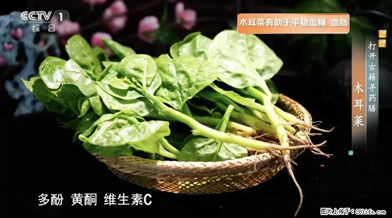 比牛奶补钙还厉害！凉血解毒、稳血糖...这菜冬天必吃，很多人却当草 - 渭南生活资讯 - 渭南28生活网 wn.28life.net