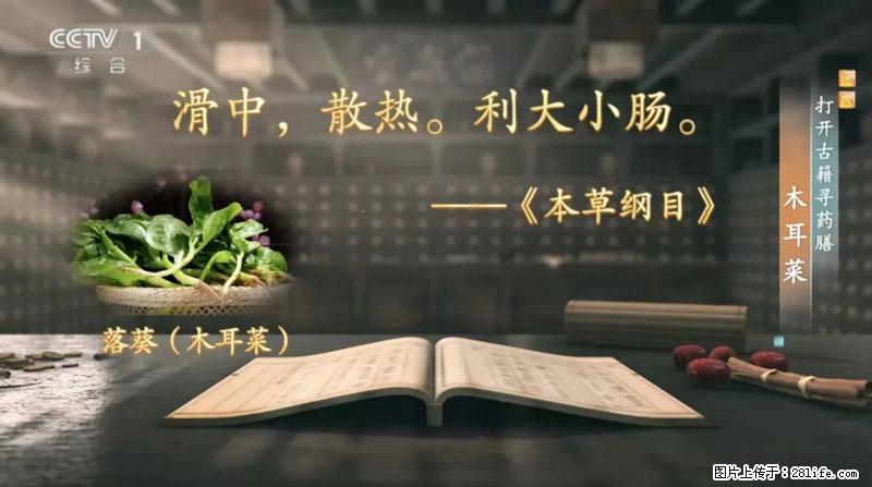 比牛奶补钙还厉害！凉血解毒、稳血糖...这菜冬天必吃，很多人却当草 - 渭南生活资讯 - 渭南28生活网 wn.28life.net